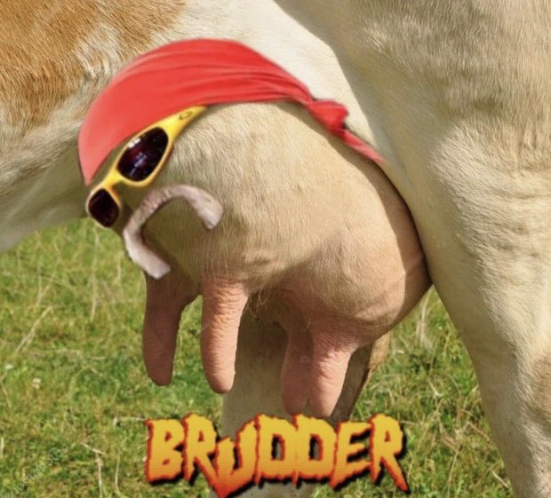 GayHulkster's tweet photo. https://t.co/mLRCLLo9av
