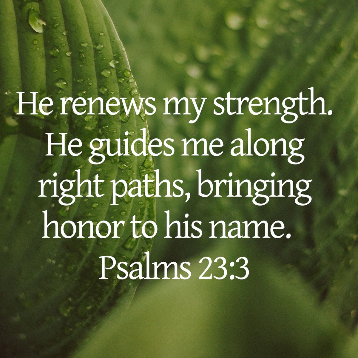 GVCBirmingham's tweet photo. Be refreshed, be renewed!
The refreshing grace is reaching out to you now, hallelujah 🙌
"He renews my strength. He guides me along right paths, bringing honor to his name."
Psalms 23:3 NLT
#GVCBham
#GVM
#InChristalone
#SaturdayThoughts https://t.co/jXtUsormWs