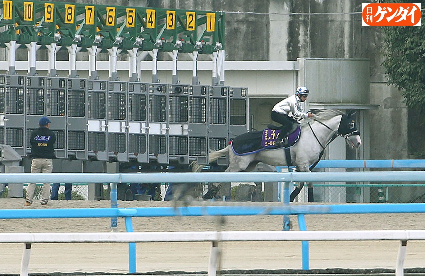 日刊ゲンダイ 競馬 on X: 