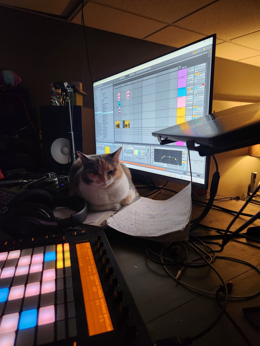 Studio cat #ghostproducer #CatsofTwittter #cocochin #ableton10