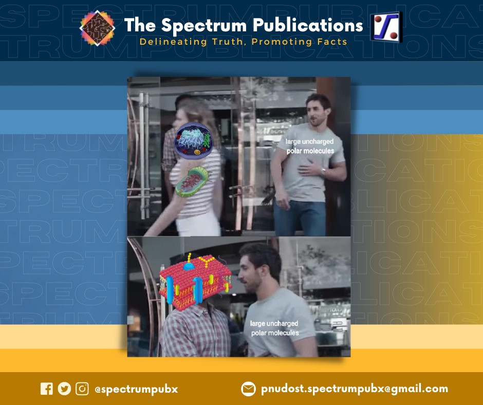 𝐄𝐍𝐓𝐄𝐑𝐓𝐀𝐈𝐍𝐌𝐄𝐍𝐓
Memes: 
Just For Fun | "Thou Shalt Not Pass" by Sunshine Kaye Capuros 
Here's some humorous material to brighten up all of your days, fellow scholars! 🔬🧑‍🔬
Layout edited by: Iris Jacinto
𝙏𝙝𝙚 𝙎𝙥𝙚𝙘𝙩𝙧𝙪𝙢 𝙋𝙪𝙗𝙡𝙞𝙘𝙖𝙩𝙞𝙤𝙣𝙨 
#SPECTRUM2022