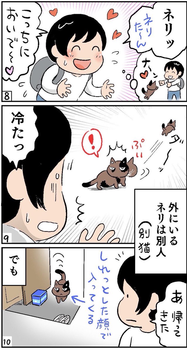 猫マンガ「サビとハチワレ」
第二話「脱走」
↓
https://t.co/NL6XKBVu8C

#漫画が読めるハッシュタグ 
#ねこ新聞
#サビ猫
#ハチワレ 