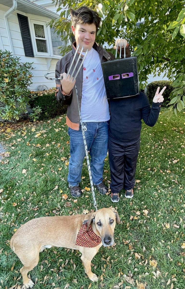 JessicaTurgeon's tweet photo. Some group shots with neighborhood “celebs” with a special cameo appearance of Merlin https://t.co/5hPH6B2mrX