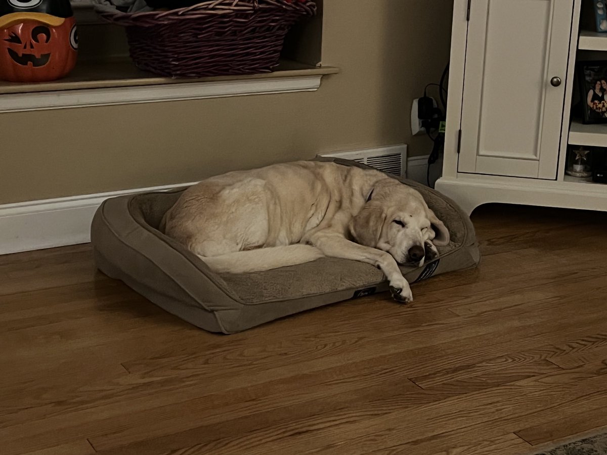 Steve Smith tweet media