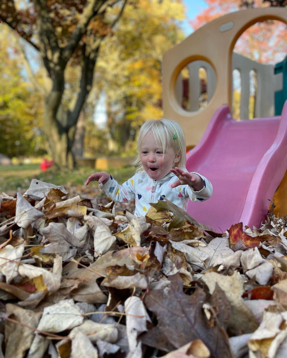 hbrew2's tweet image. Don’t forget to find some time to get outside and be active this weekend. 🍂