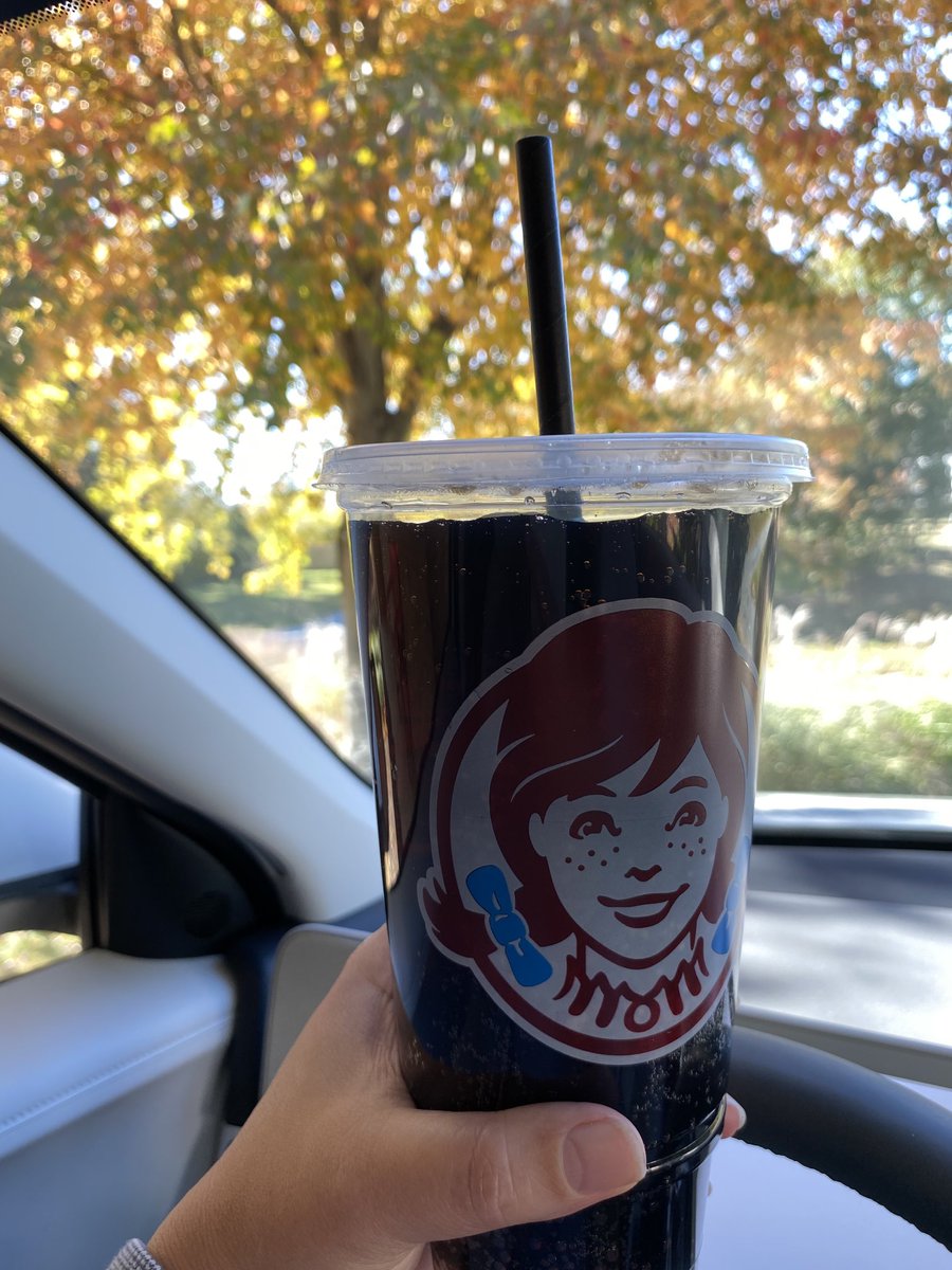 PSA for holistic approaches to policy: My county adopted a ban against plastic straws and ⁦<a href="/Wendys/">Wendy’s</a>⁩ and ⁦<a href="/McDonalds/">McDonald's</a>⁩ have both switched from paper cups with plastic straws to fully plastic cups with paper straws! #unintendedconsequences #dontjudgemydietcokeaddiction