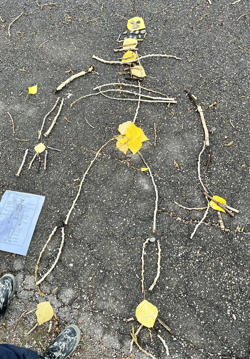 “Can you see our skeleton’s clavicle and phalanges?” “Look at my humorous humerus bones!” “My skeleton can dance because it has a good pelvis”.  #FreshAirFriday #LooseParts <a href="/SilverSpryycbe/">SilverSprings School</a>