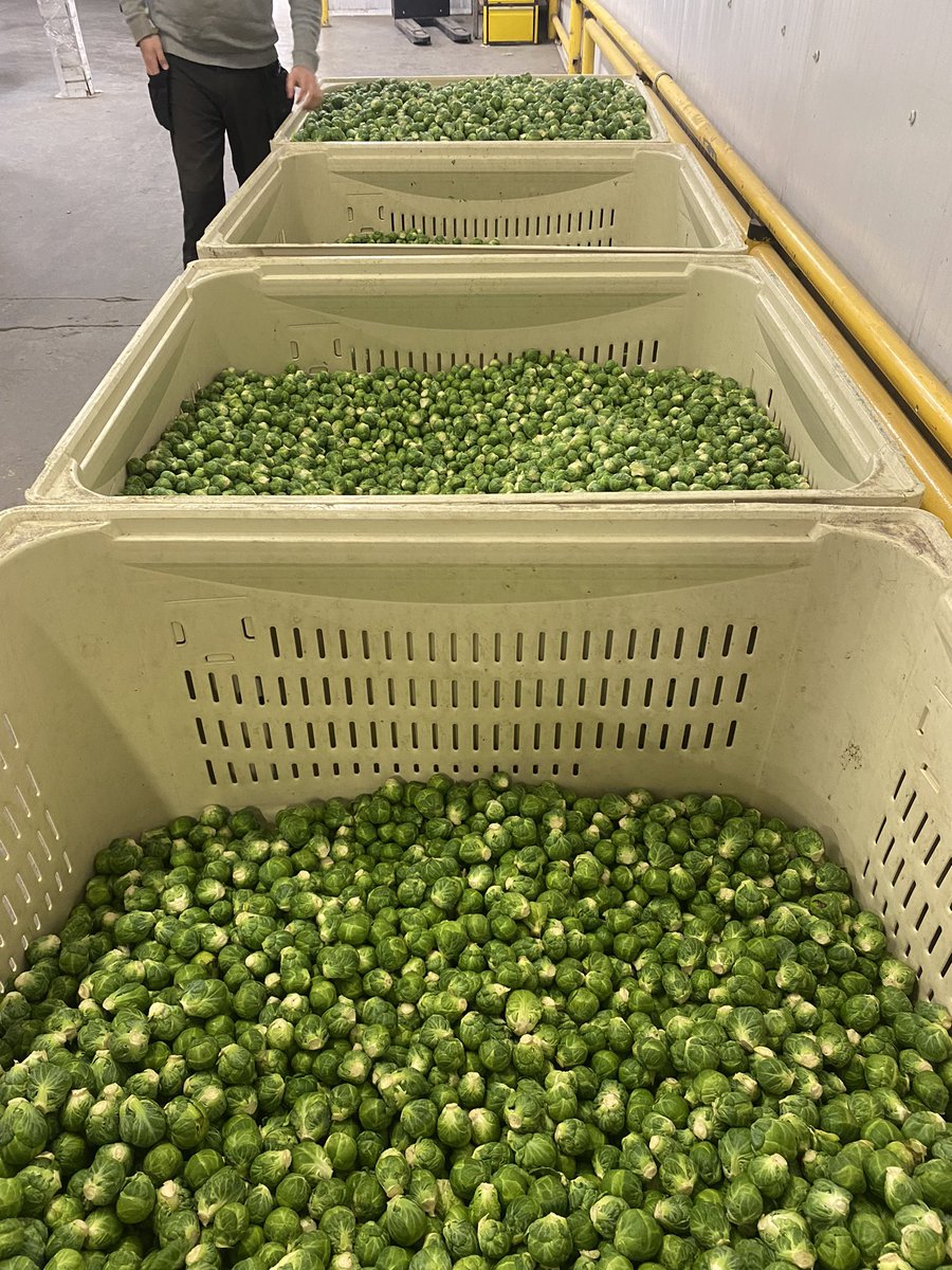 ShaneHalpin132 tweet media