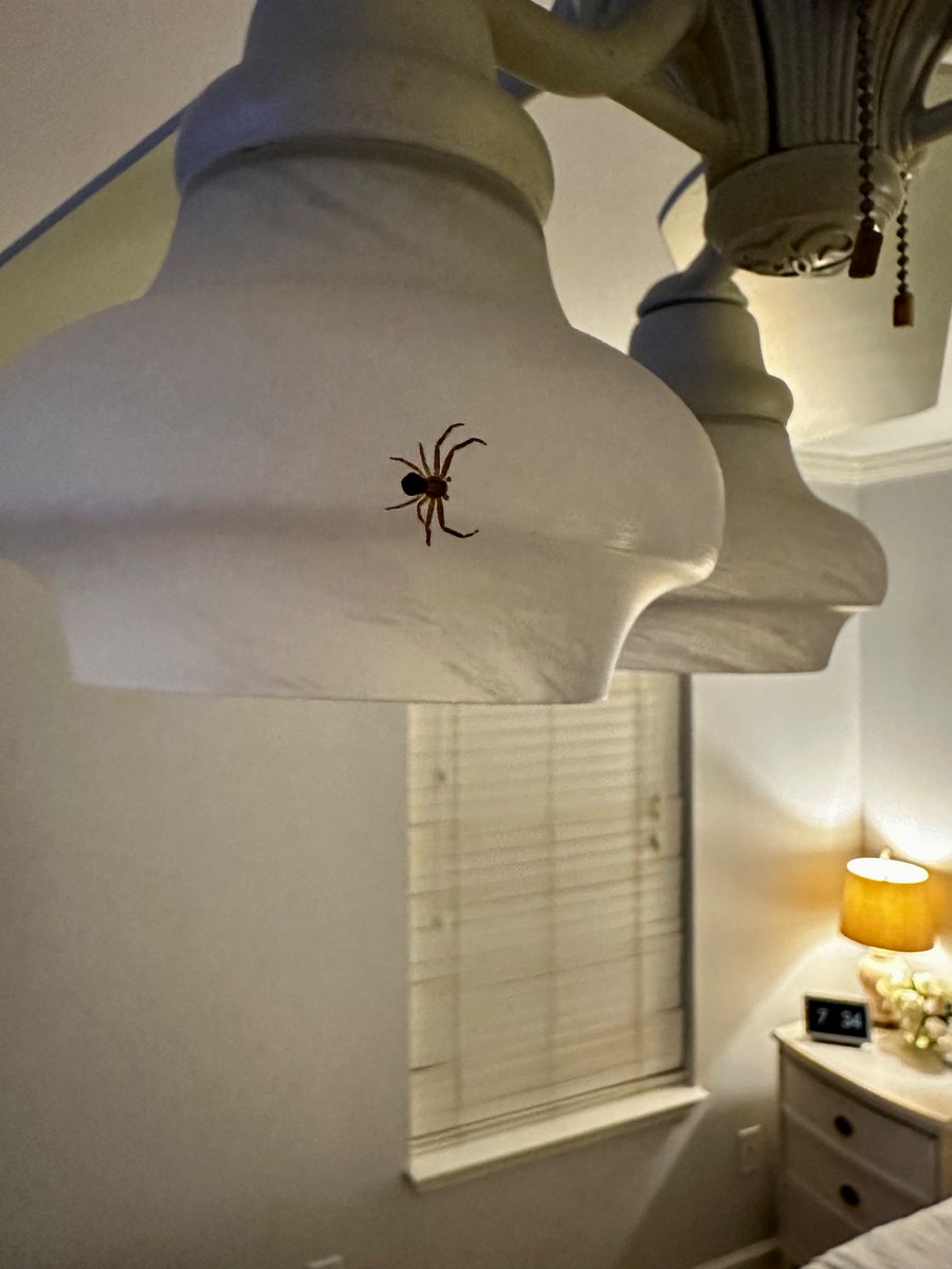 Sheldon C. Limulus tweet media