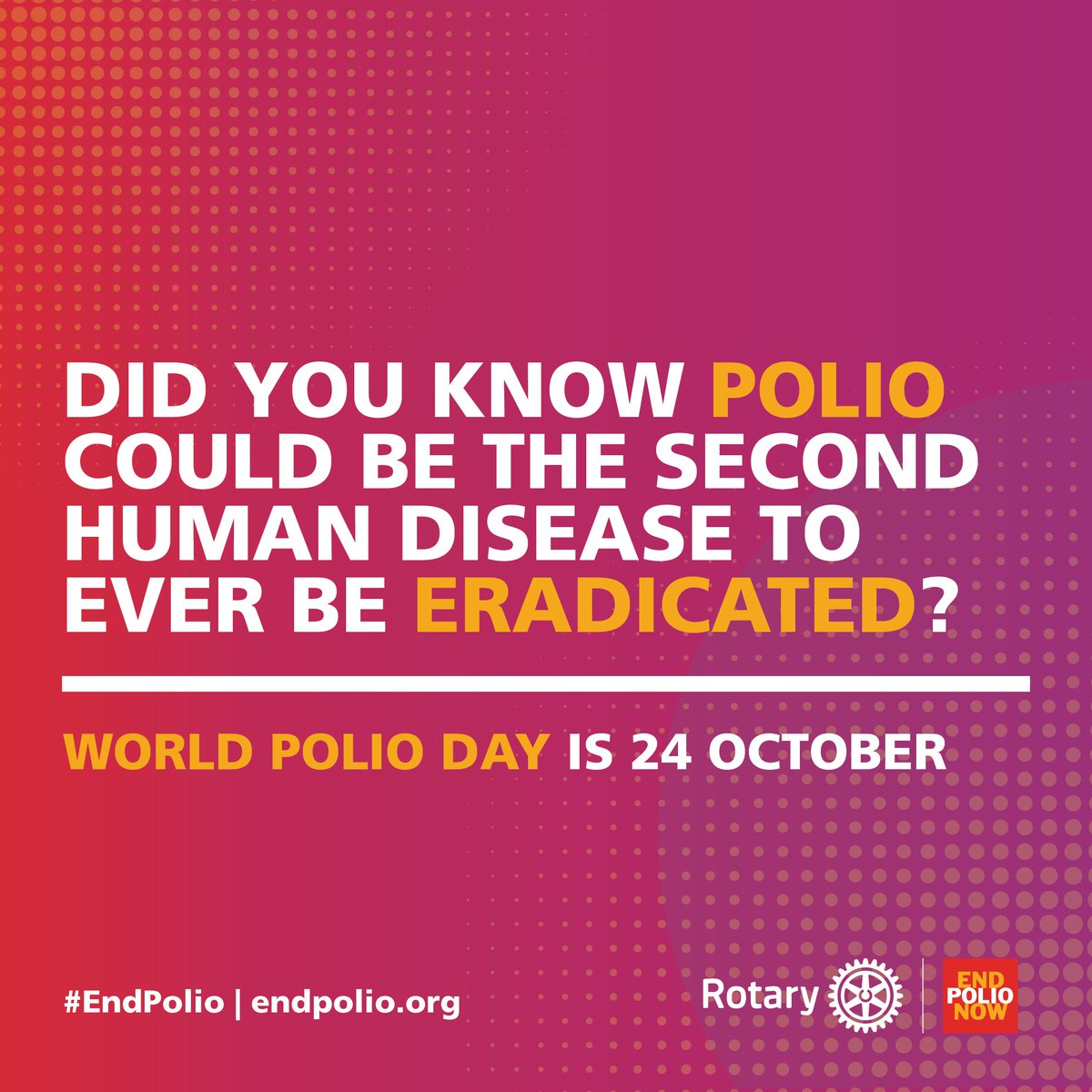 afalk's tweet photo. Smallpox is the only human disease ever eradicated. Let’s make polio the second! Join the fight to #endpolio with @Rotary on #WorldPolioDay: https://t.co/JmnULuqcem https://t.co/xTMimpBN8Y