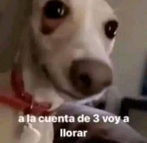 me lo corte muy mal y no se cómo arreglarlo 😿