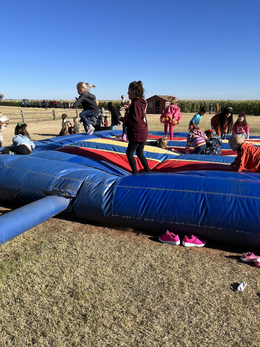 MsKGifford's tweet photo. We had so much fun on our first field trip to P Bar Farms in Hydro! #swelem #cpsreds https://t.co/pQTjak6ebB