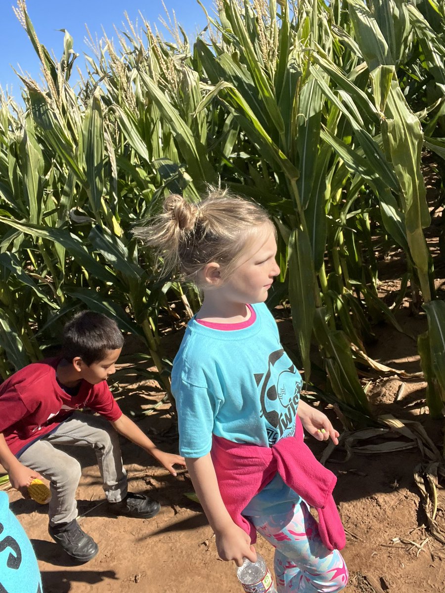 MsKGifford's tweet photo. We had so much fun on our first field trip to P Bar Farms in Hydro! #swelem #cpsreds https://t.co/pQTjak6ebB