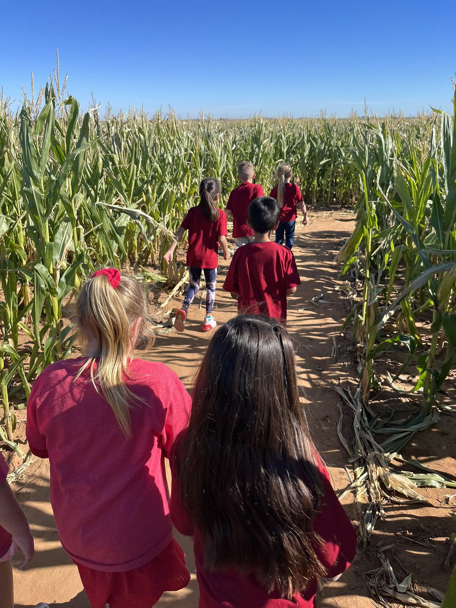 MsKGifford's tweet photo. We had so much fun on our first field trip to P Bar Farms in Hydro! #swelem #cpsreds https://t.co/pQTjak6ebB