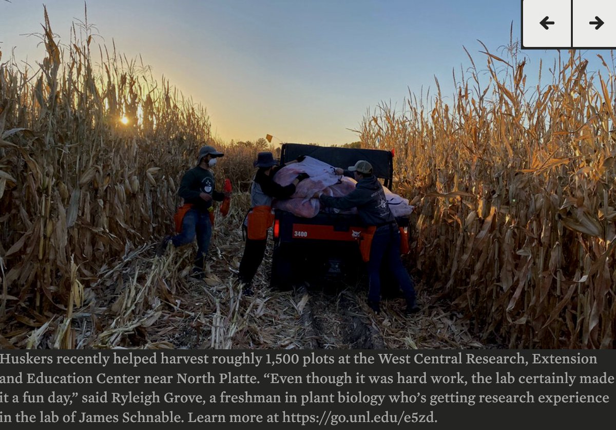 Schnable Lab (@schnablelab) on Twitter photo Ryleigh Grove (@Ryleigh_Grove1), @NikeeShrestha2, and <a href="/JonathanTurkus/">Jonathan Turkus</a> featured in the <a href="/NebToday/">Nebraska Today</a> social media photo of the week! Ryleigh Grove (@Ryleigh_Grove1), @NikeeShrestha2, and <a href="/JonathanTurkus/">Jonathan Turkus</a> featured in the <a href="/NebToday/">Nebraska Today</a> social media photo of the week!