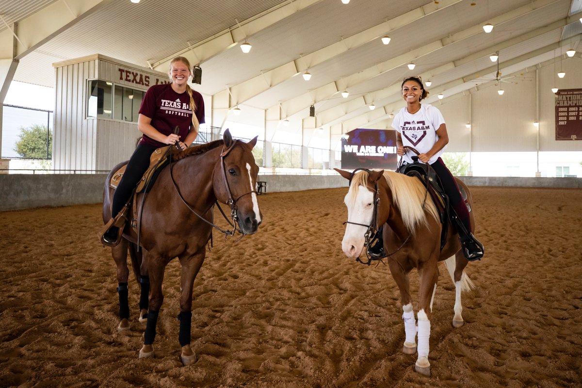 Texas A&M Equestrian on Twitter "🫶"