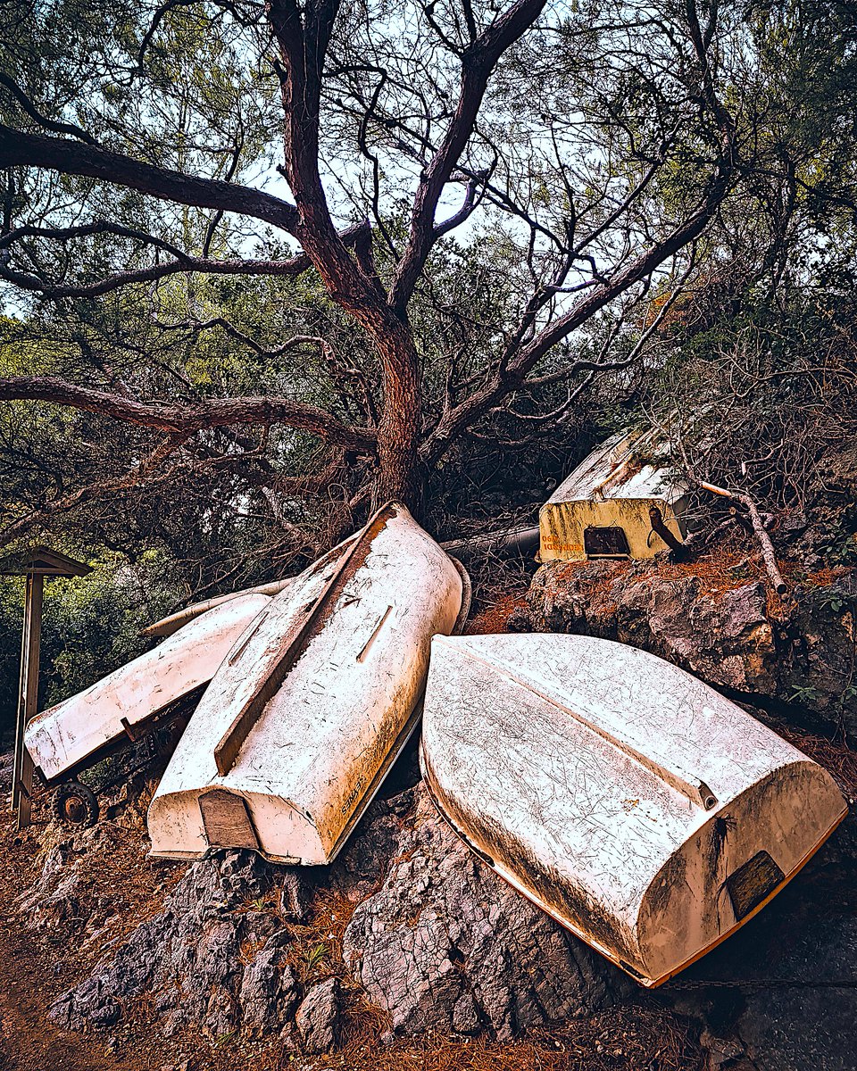 NunoCostaPT.eth 🇵🇹🚀🌕| NFT.NYC 2023/24 Artist tweet media