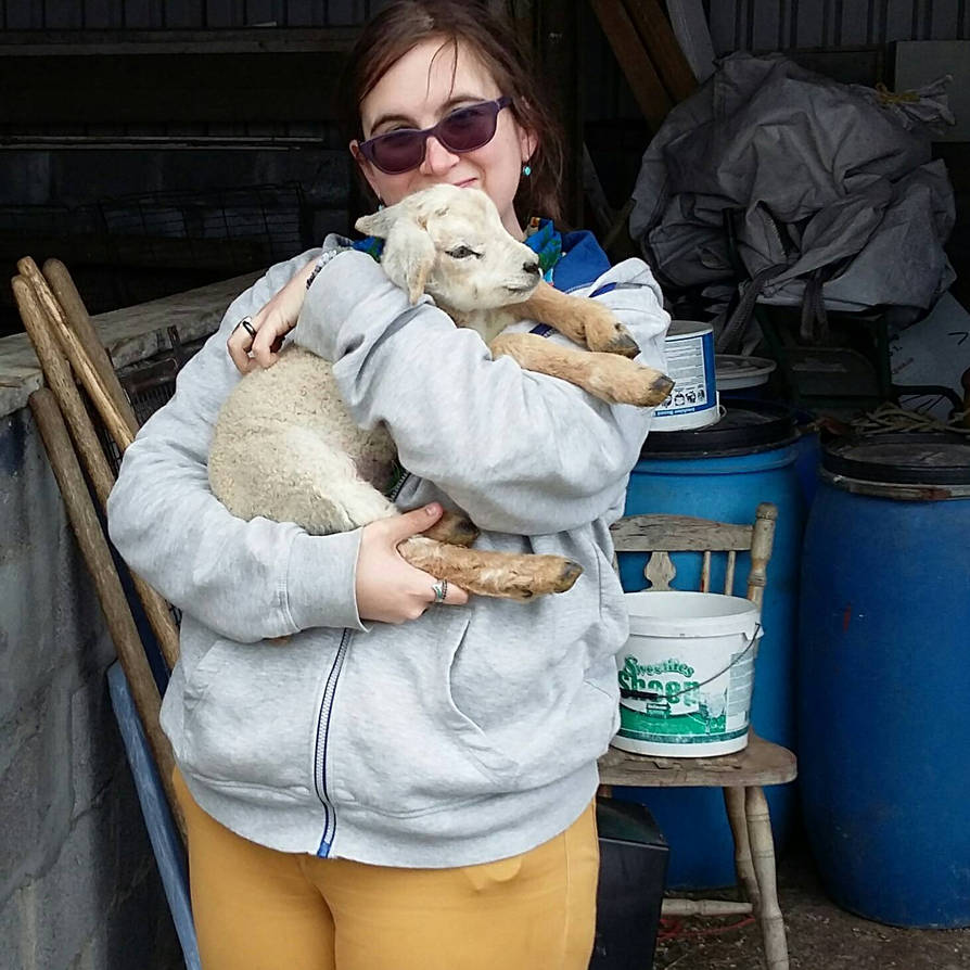 RhapsodyArt777's tweet photo. In #Ireland I got to hold a lamb. In England I climbed the #Michael Tor on Michael's  Saint Day. I wish I still had my pictures from Equador and Greece though #SomeRegrets 

If you wanna use the lamb pic as reference for #art the only condition is show me what you made https://t.co/CQqsbJ3yGO