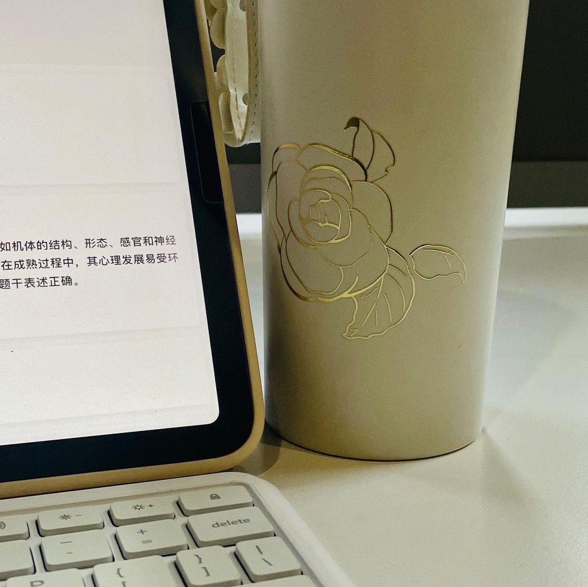 Shadowstalk7R's tweet photo. 好爱我的杯子 https://t.co/t4ksS7SjSQ