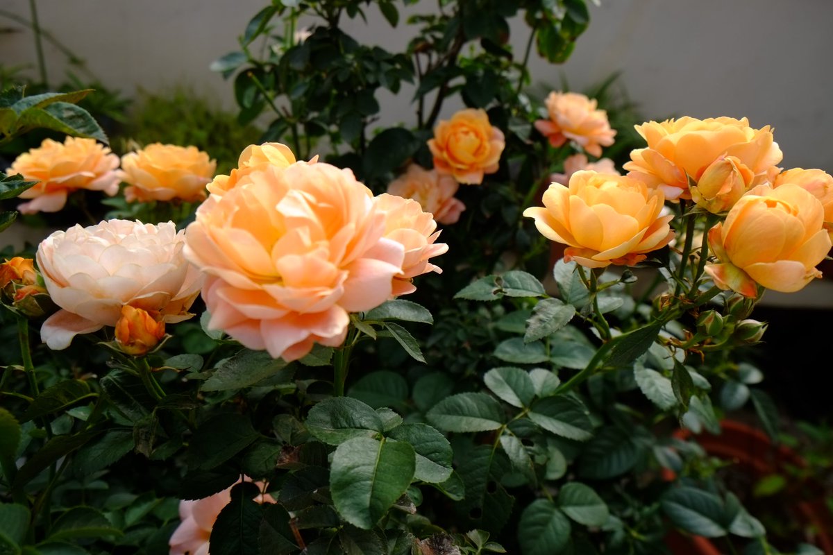 dyson (@superstringsdys) on Twitter photo 