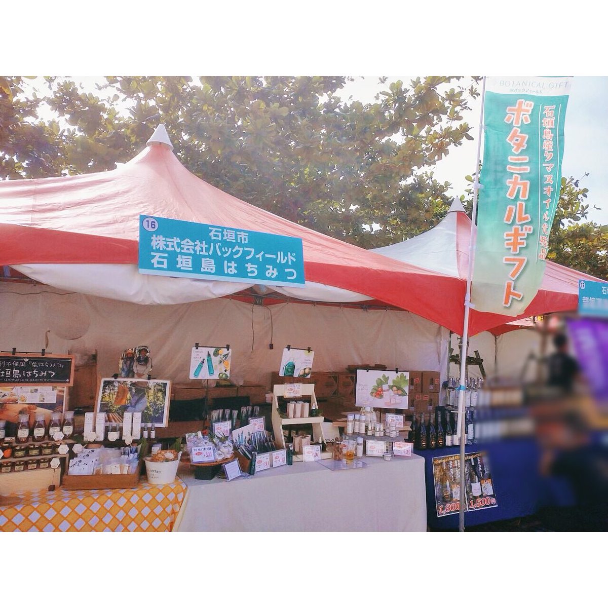 BotanicalGift's tweet photo. https://t.co/qOnoV0ot11