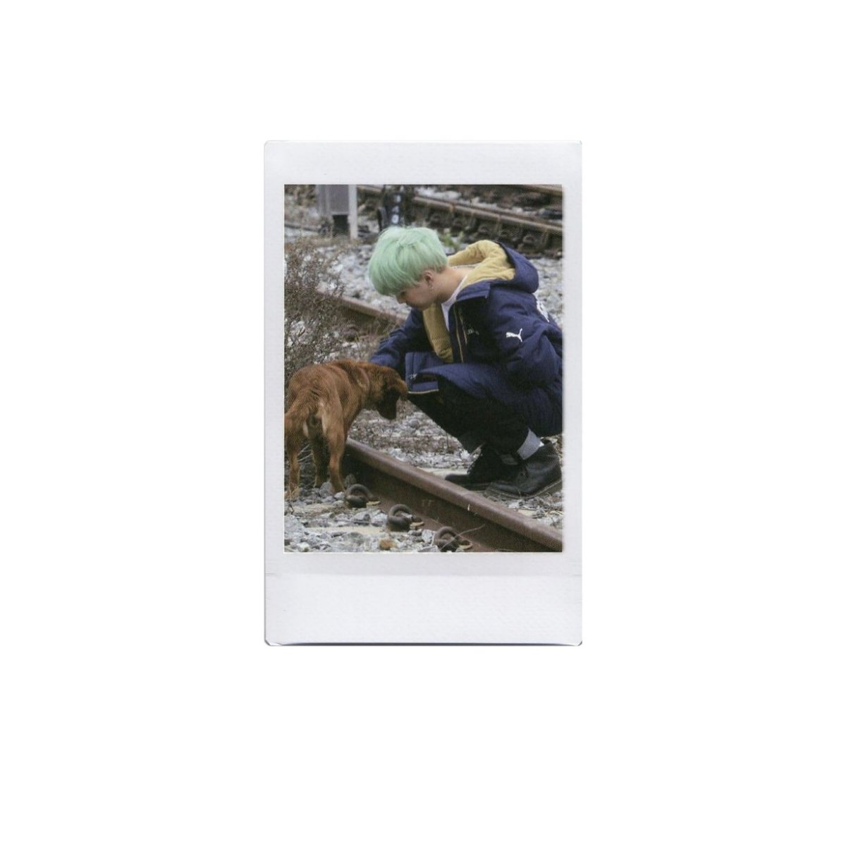 horsesstudy's tweet image. ⌕ new search: #studytwt | #collegetwt

𔘓 ﹏ 𝗺𝗮𝗿𝗶𝗮 𝗲𝗱𝘂𝗮𝗿𝗱𝗮 ๑ ִֶָ ❀
🦋 – ela/dela, 04's, libra &amp;amp; enfj
🌬️ – graduanda de medicina veterinária
🪹 – goals: notas boas, bem-estar e rotina

🫰🏻 grandes animais, equinos, doramas e notion

♥︎/↺ to be mutuals!