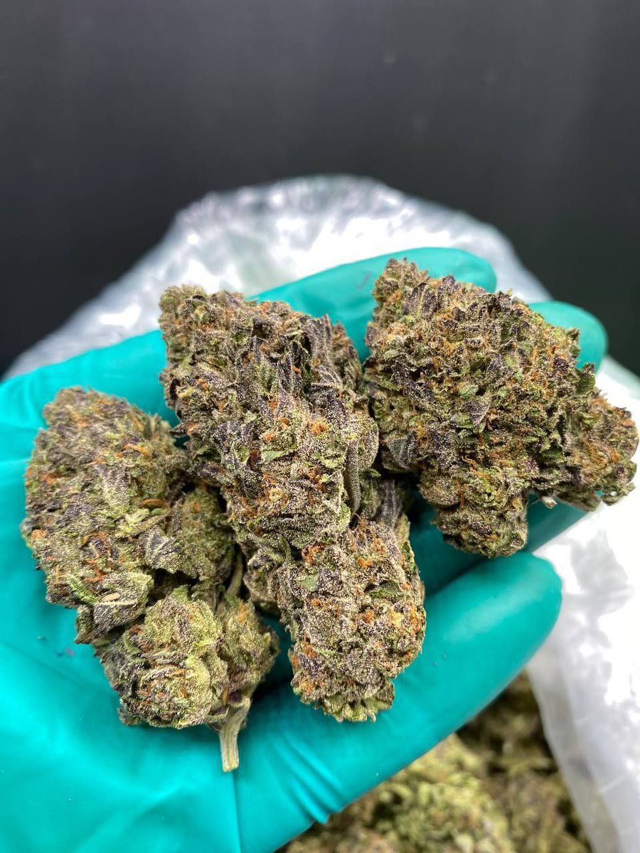 SamanthaWildA's tweet photo. Lemon Cherry gelato $140 
What’s your offer ? https://t.co/VtoMjOVOJO