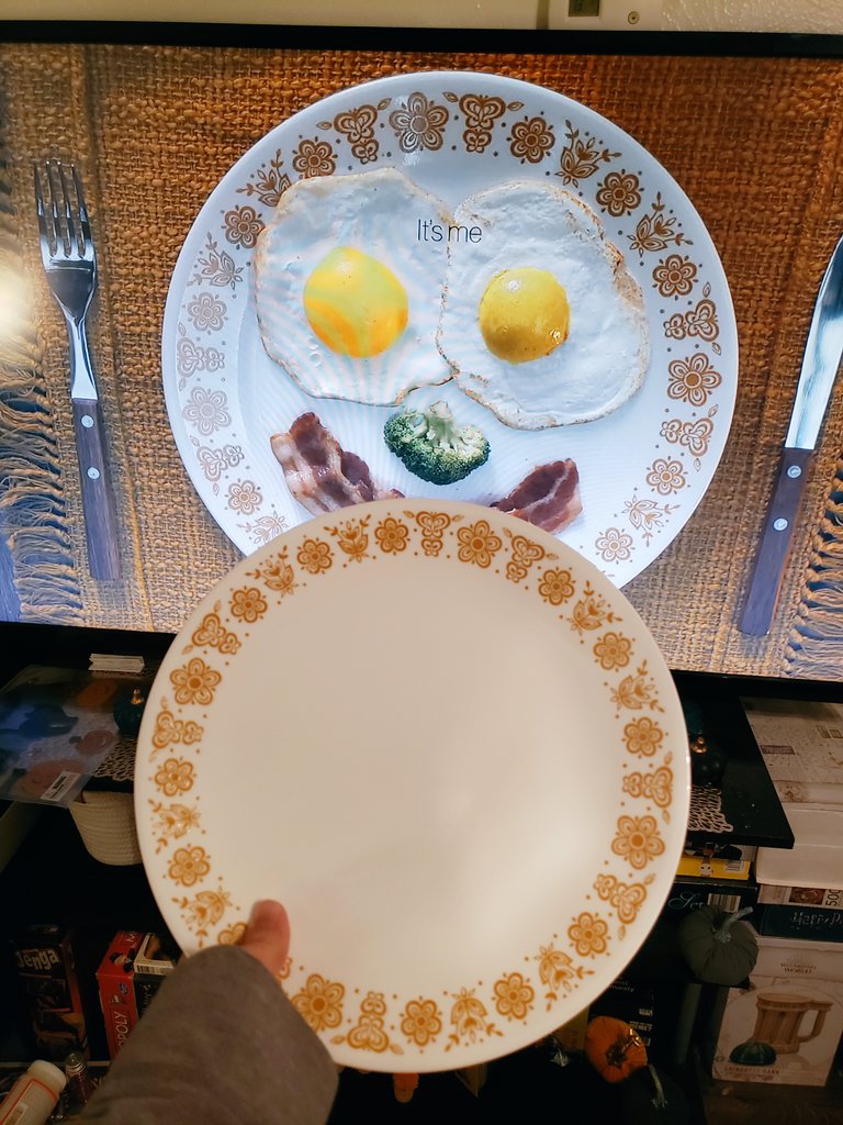 seetherrayne's tweet photo. Omg y'all my childhood Corelle set was a Midnights easter egg the whole time #MidnightsTaylorSwift https://t.co/rKdv57nnyl