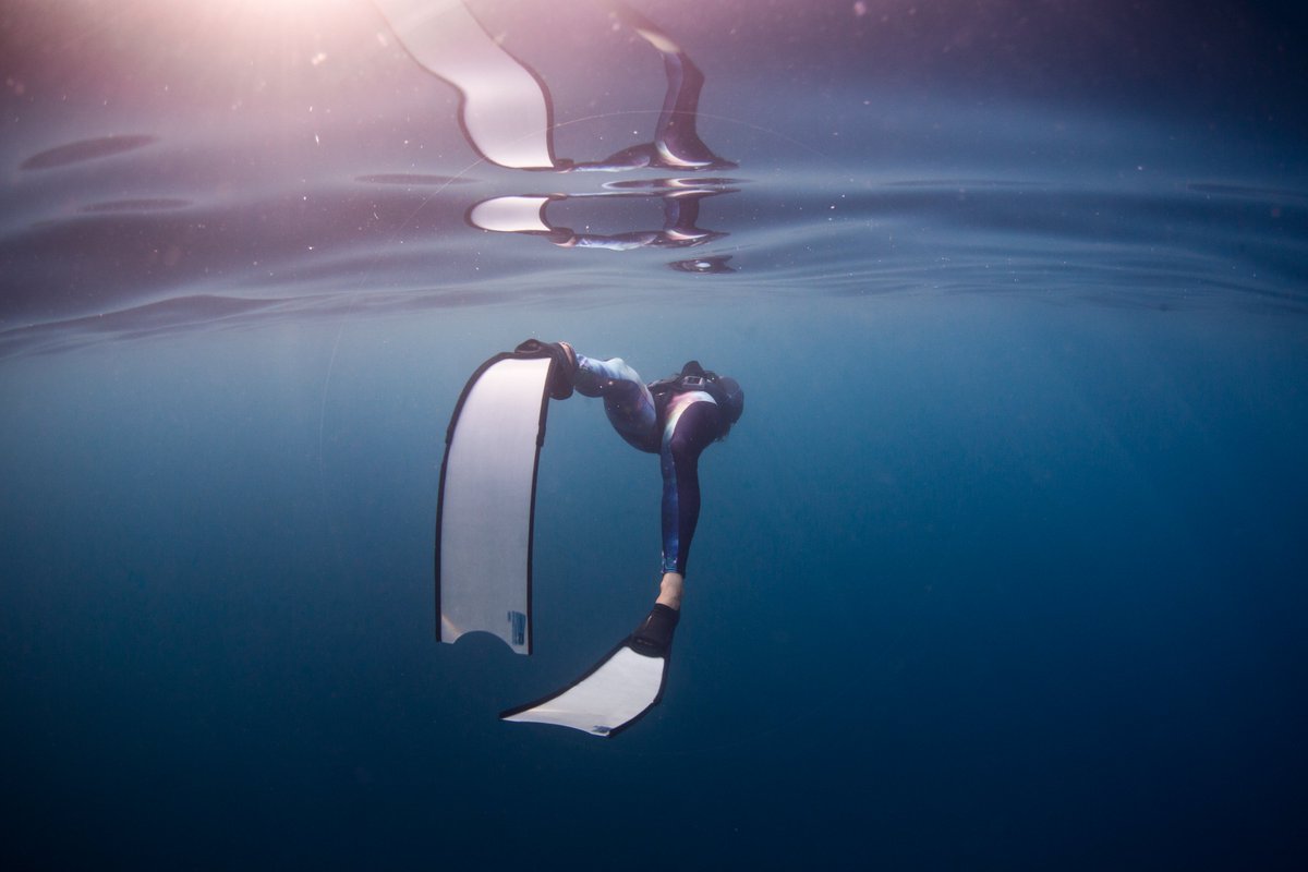 fakeye 💧 tweet media