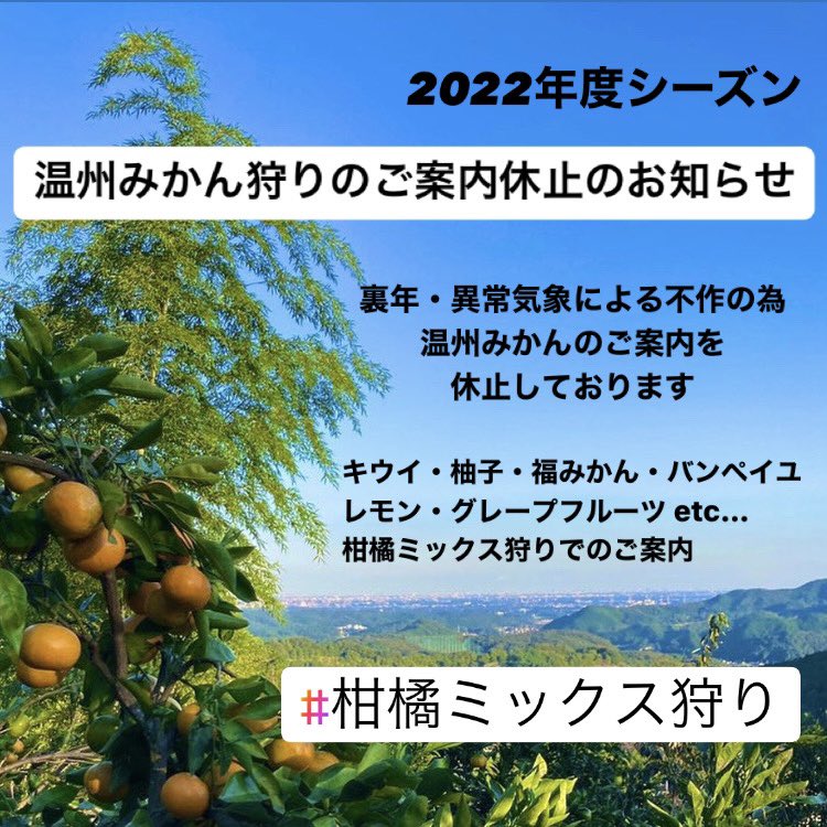 みかん農園 大附園 Tokigawa Mikan Twitter