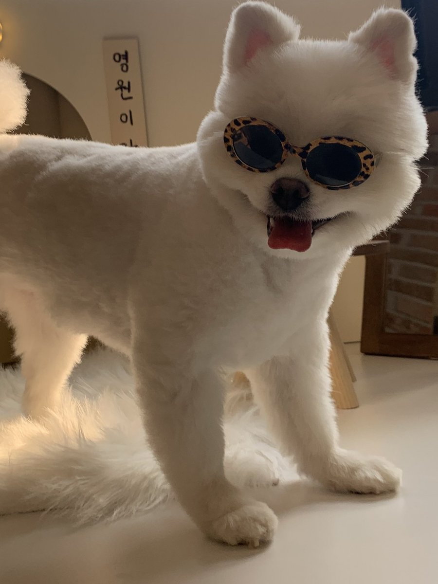 안녕하시렵니까?