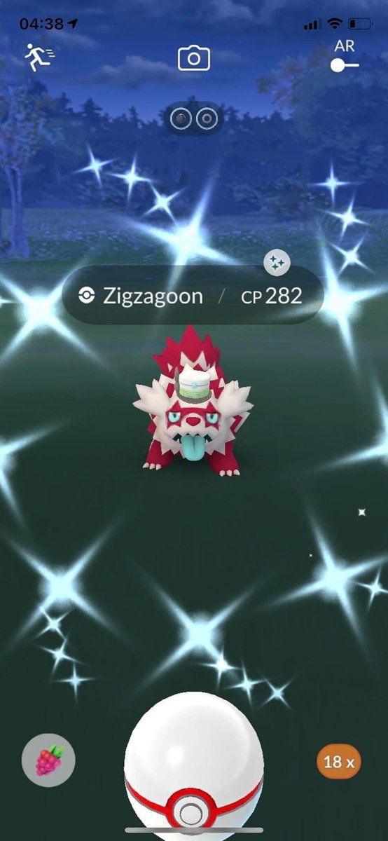 Iv100Pokemon's tweet photo. sell trade shiny zigzagoon with hat
pm me 
#PokemonGoApp #PokemonGORaids #shiny #PokemonGOfriends https://t.co/O836tEEfaF