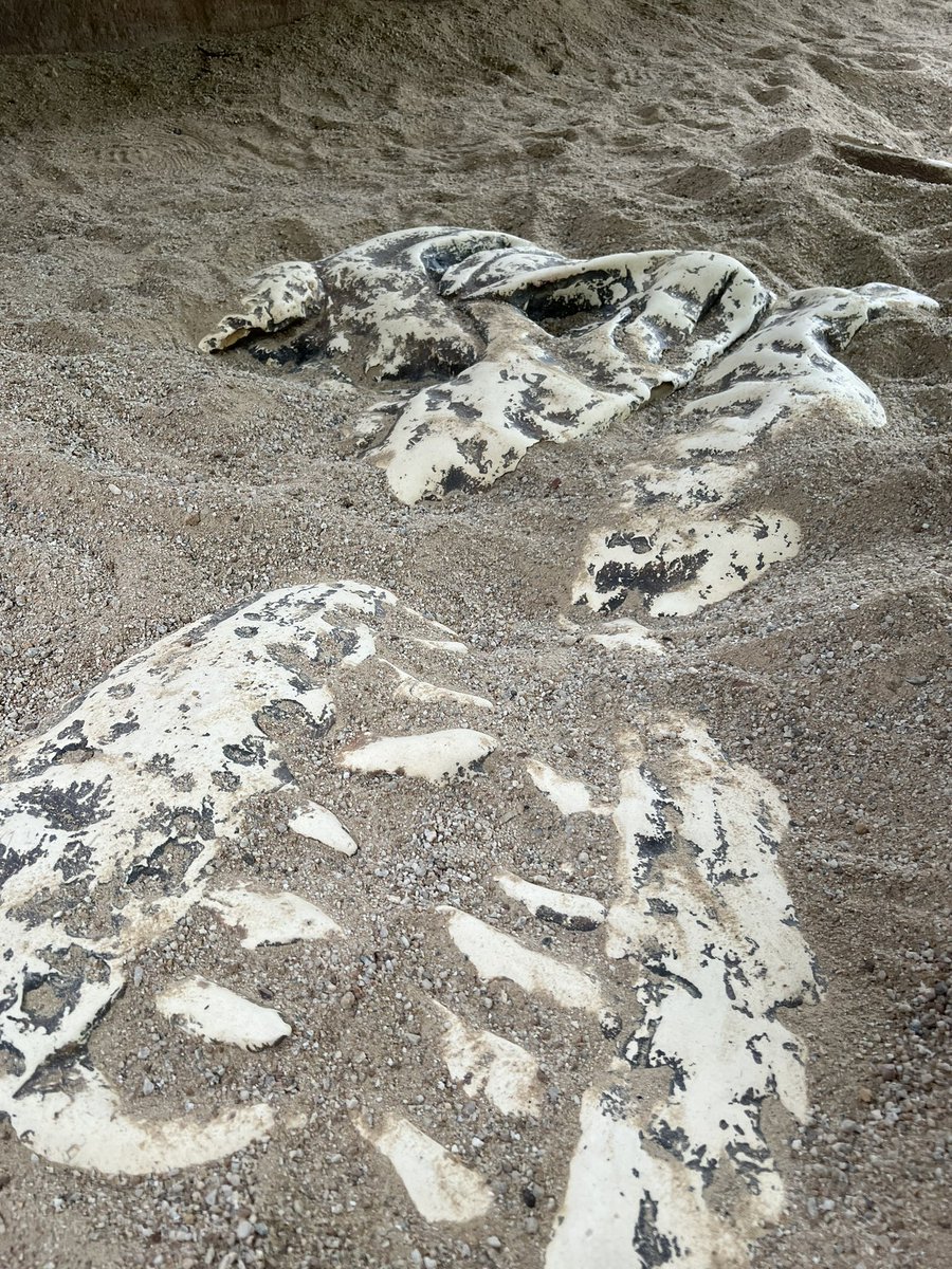 Andreas Ehn tweet media