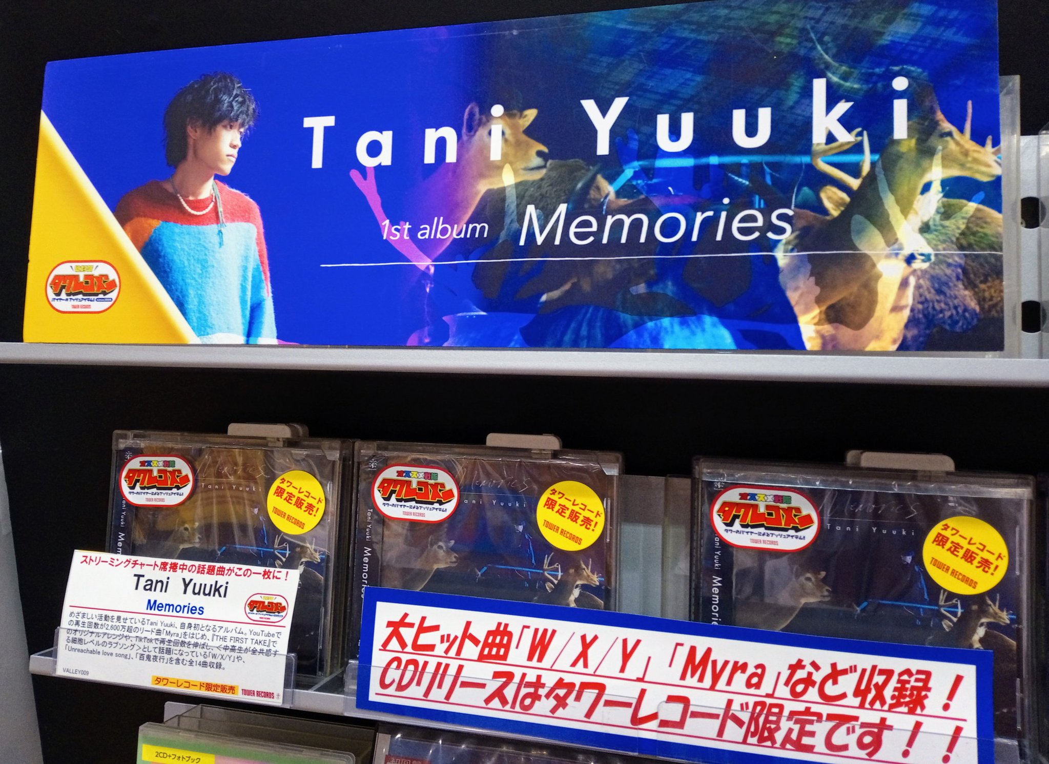 tani yuuki memories 直筆サイン入りポストカード