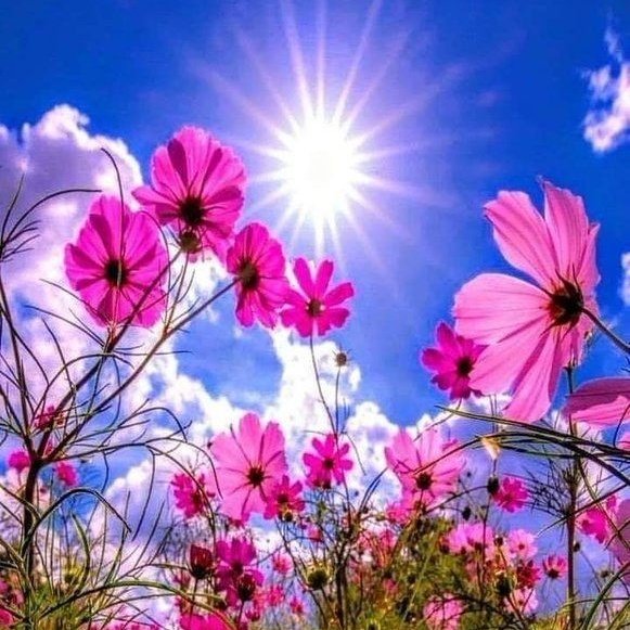 ChanelYard's tweet photo. #NewProfilePic https://t.co/ihXLjGsljW