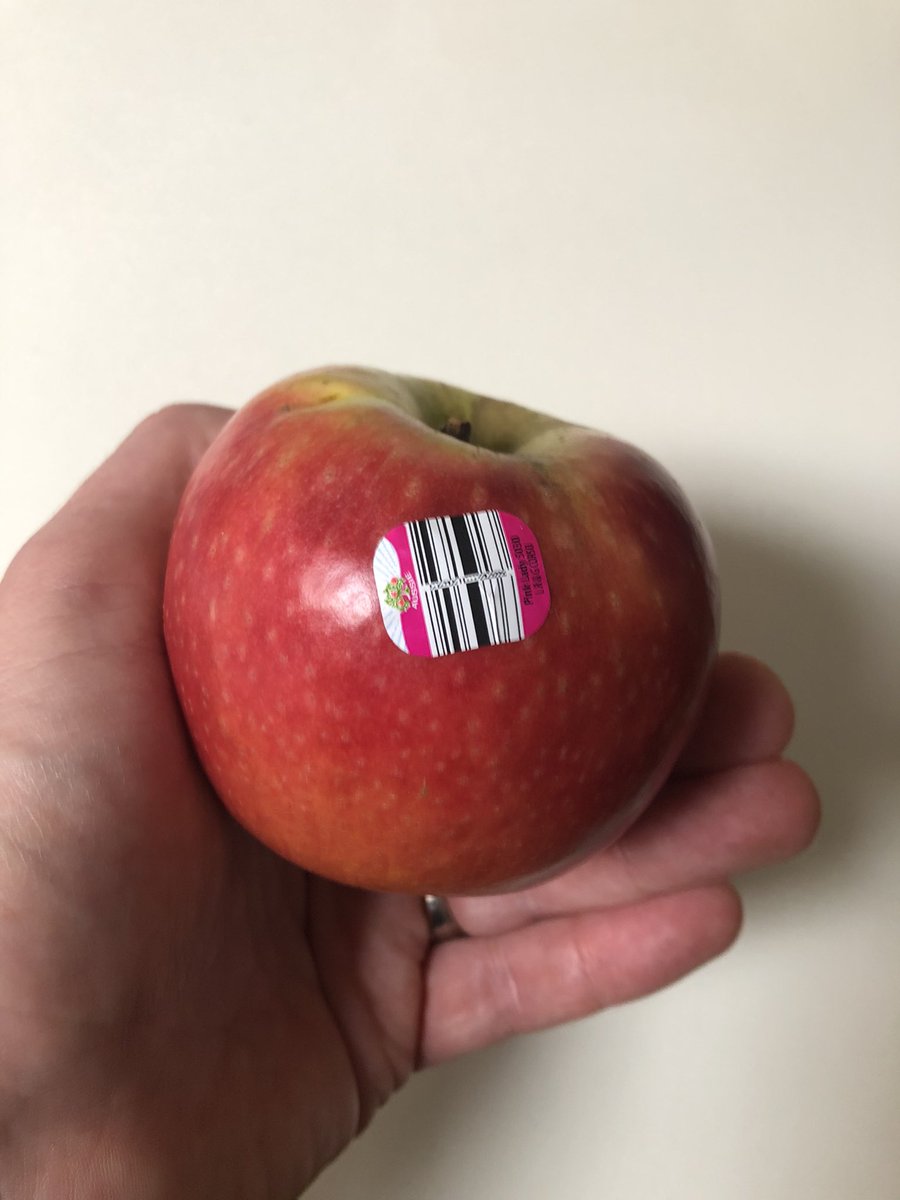 Mathew Sloane tweet media