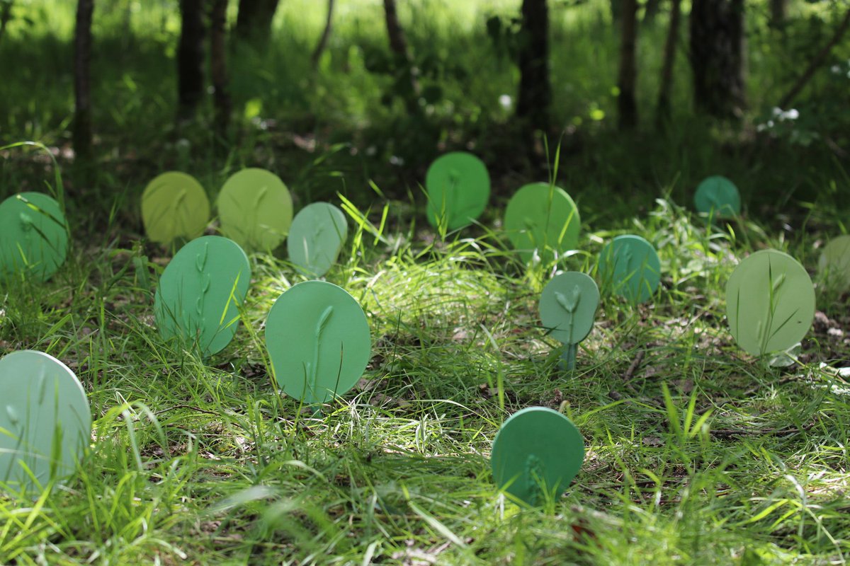 may wild tweet media