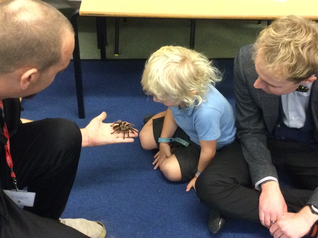MrHardstaff's tweet photo. To celebrate #scifest this week, we had a visit from @ZooLabUK! We got the chance to meet Caspar the snake, Phantom the tarantula, Honey the gecko and Princess Katie the rat! @bastonceprimary #EYFS #animals 🐍🕷️🦎🐀 https://t.co/nsPx6z6E07