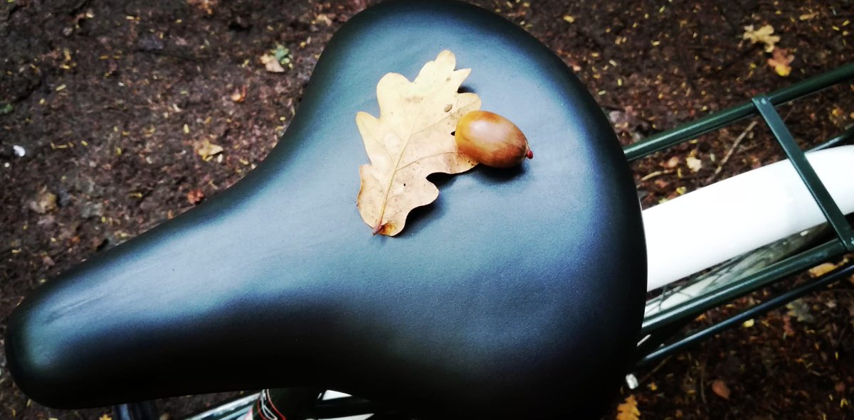 CycleOfGoodUK's tweet photo. It's all about the Mammoth! ๐ ๐ฒ
Our Elephant bikes are refurbished ex-postie bikes. The Mammoth offer includes panniers and other extras; get yours now while you can! ๐ฒโป๐
https://t.co/yuGHQjbLmE
#ElephantBike #CycleOfGood #Recycle #Mammoth #GreenChristmas #LastOfTheHerd https://t.co/9CYR8LACrm