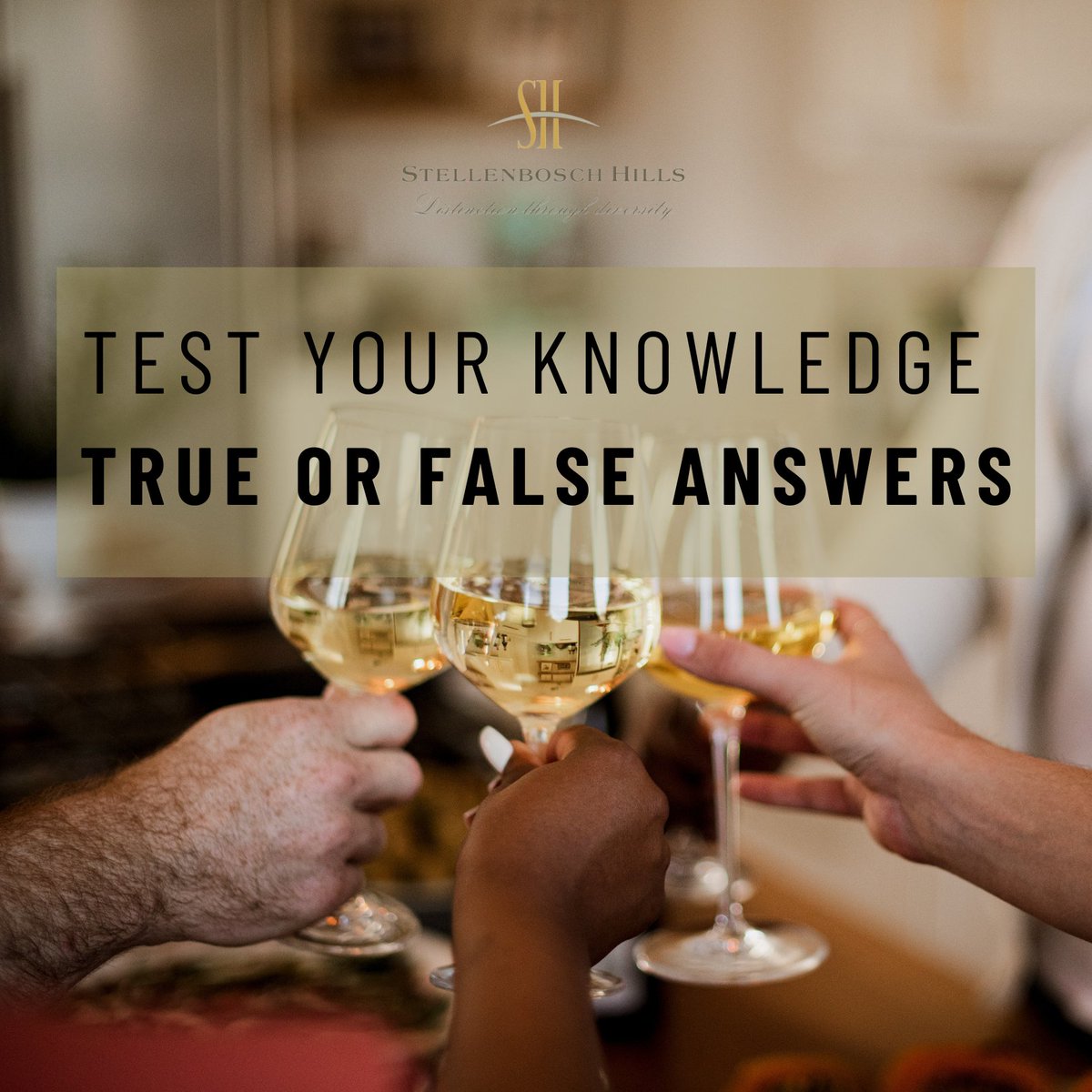 Stellenbosch Hills tweet media