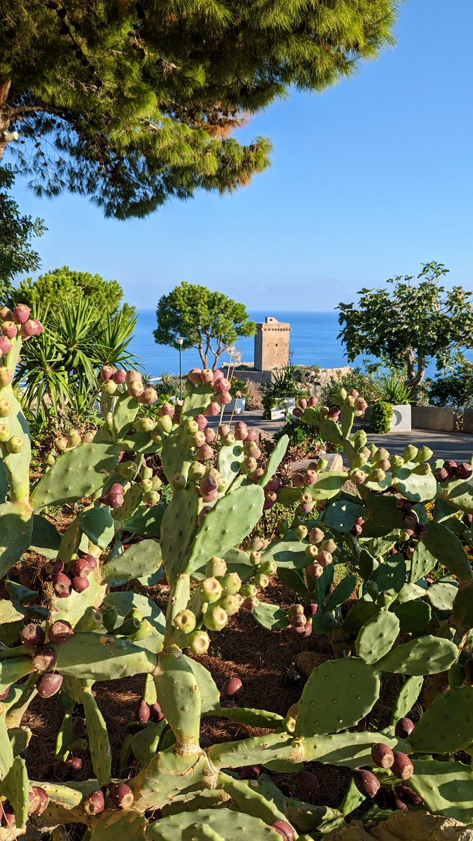AlessiaSchi_'s tweet photo. It was a great opportunity to share our #research at #EHAReCon2022 🩸👩🏻‍🔬
Such a focused conference in the super sunny #Palermo ☀️
#eha 
#Science 
#hematology https://t.co/7U18mZzR7H
