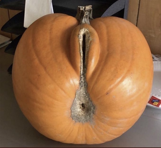 Hum pas mal 😋 #pumpkin #pornfood #thanksgiving https://t.co/ISW8k6fflf<a href="/tag/pumpkin"class="tags">#pumpkin</a><a href="/tag/pornfood"class="tags">#pornfood</a><a href="/tag/thanksgiving"class="tags">#thanksgiving</a>