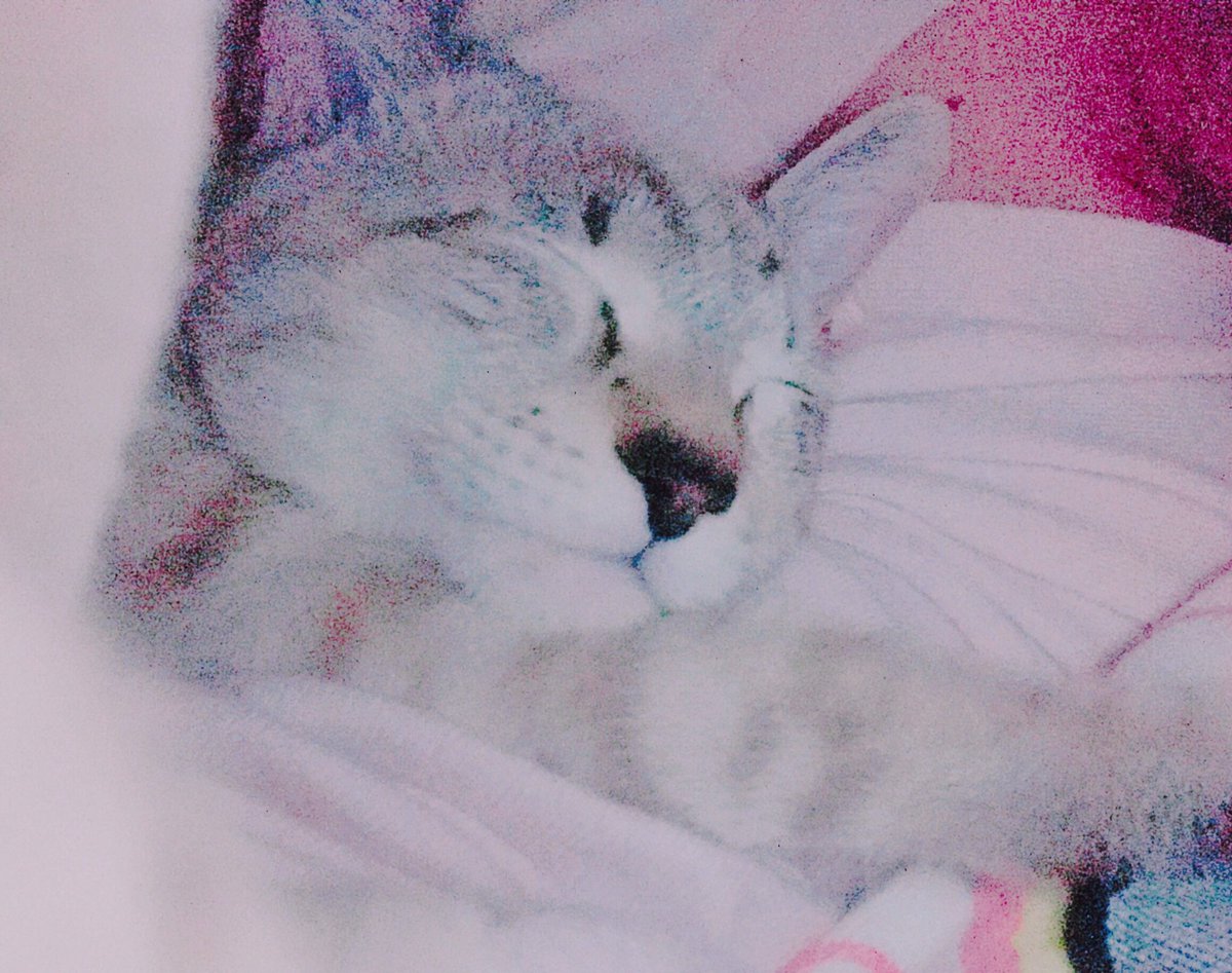 C_0531aaa's tweet photo. ずっとだいすき https://t.co/nvp68c3GkL
