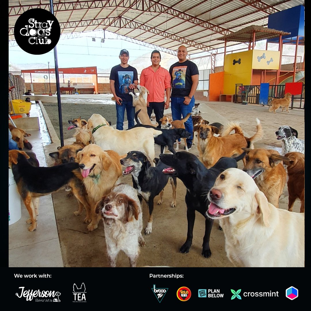 El refugio Esperanza Canina alberga +200 perros de la calle, es una labor diaria en su cuidado y alimentación  #StrayDogsclub #Nft llegará a más lugares de la región, únete a esta hermosa causa.

➡discord.gg/JnJDgGxfSJ
➡ straydogsclub.io

#NFTs #NFTCommunity #nftart