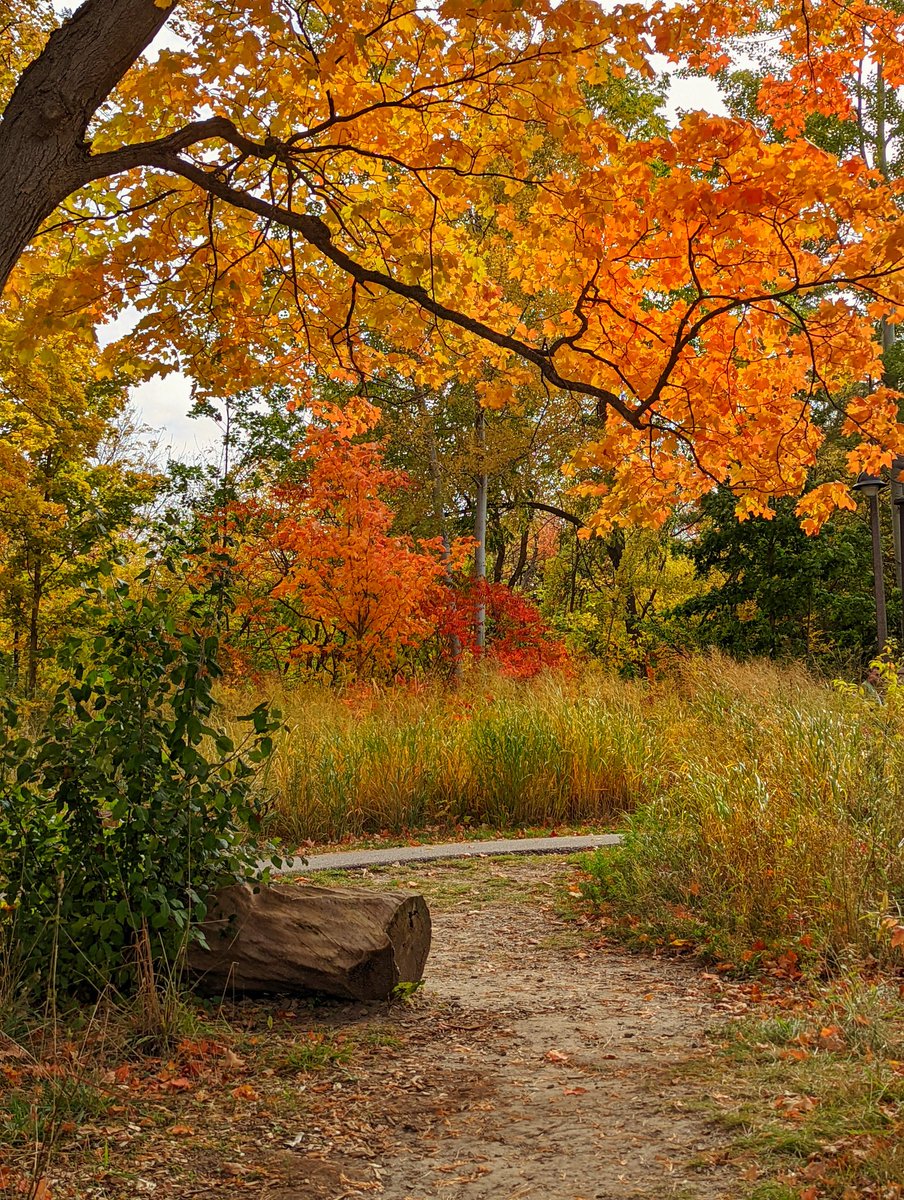 Hema Keshava tweet media