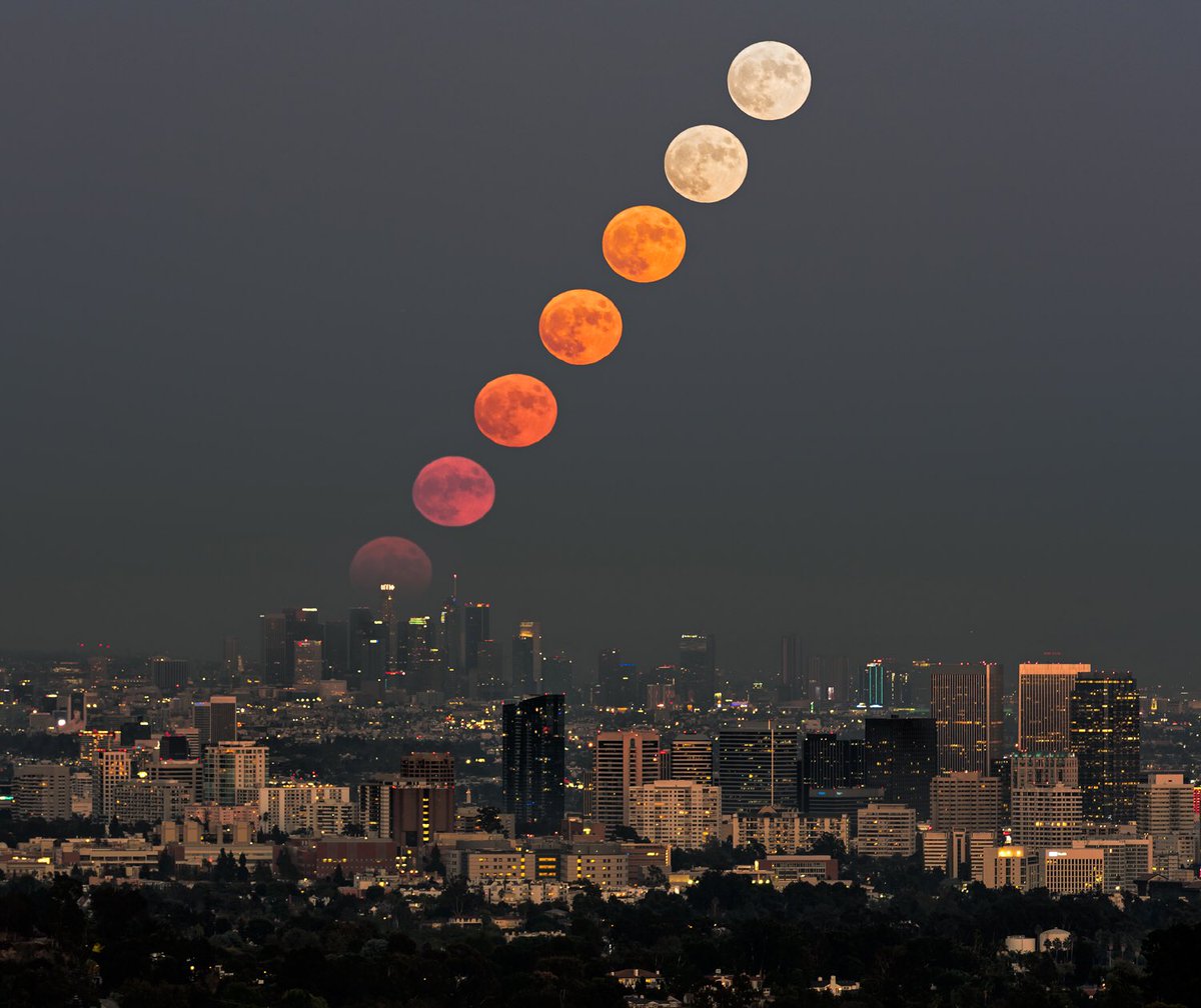 Brandon Yoshizawa tweet media