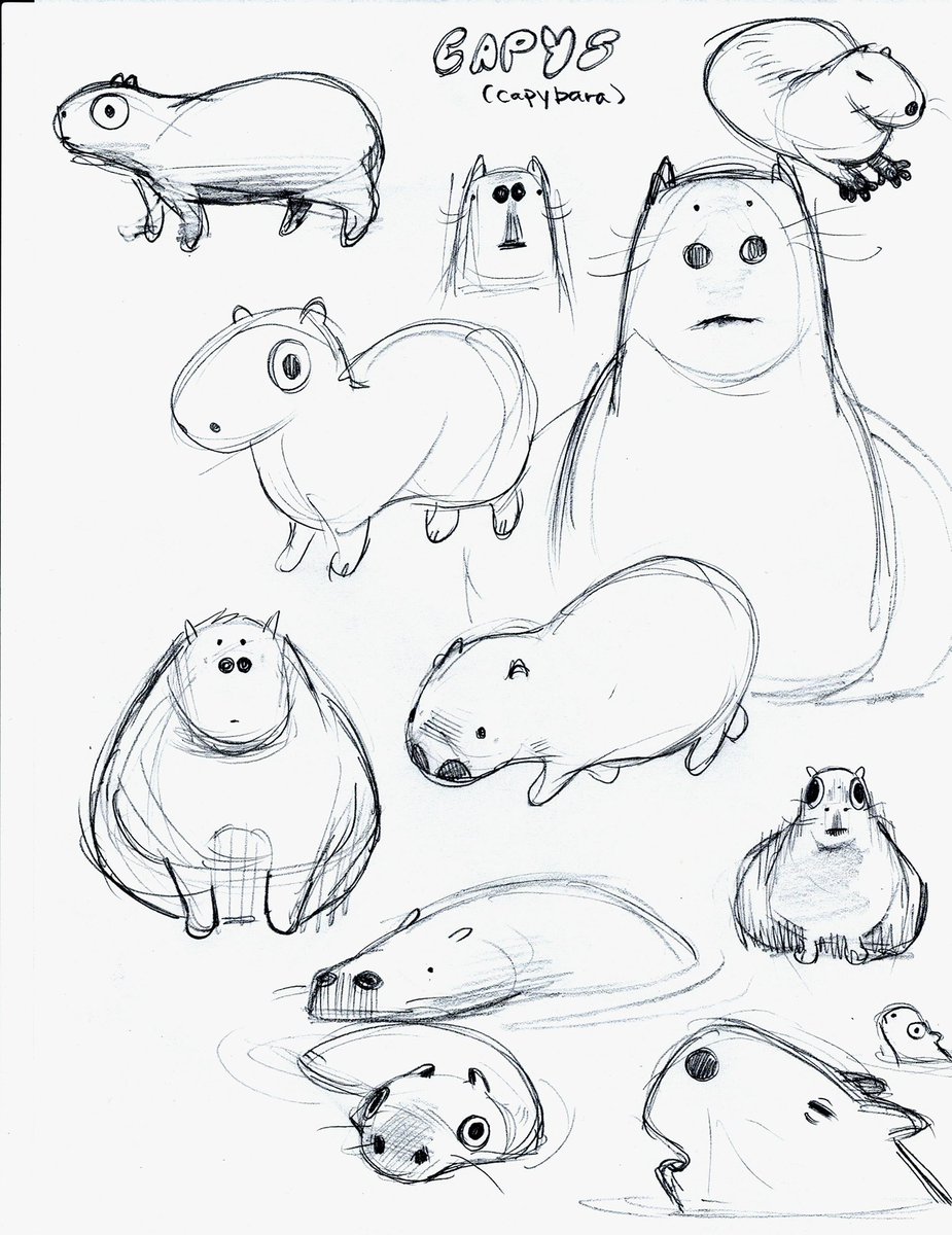 more capy and cattle tyrant 
