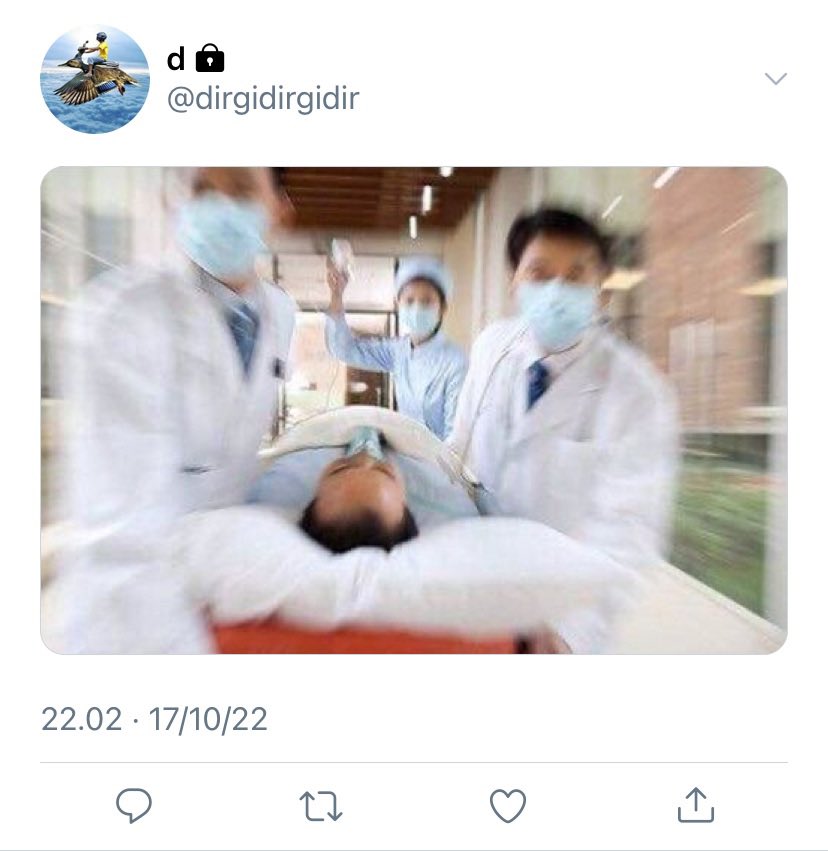 liuu :D tweet media