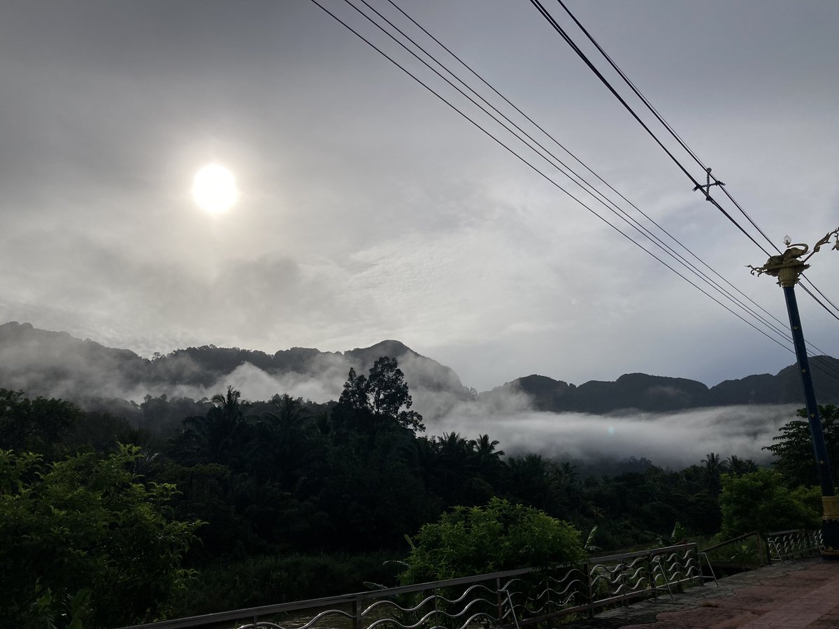 Dopamine_ee's tweet photo. ขี่รถดูหมอก…🌿🌿🌿
#หมอก https://t.co/sdADLV33kO