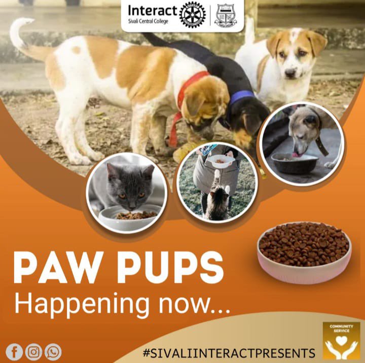 InteractSivali's tweet photo. #sivaliinteractpresents https://t.co/O05radulMZ